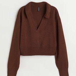 Brown Collared Sweater (H&M)